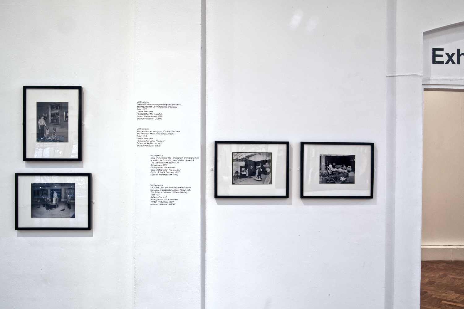 Installation view of 'Wundercamera Savannah' at the Jepson Center, Telfair Museums, Savannah in 2017