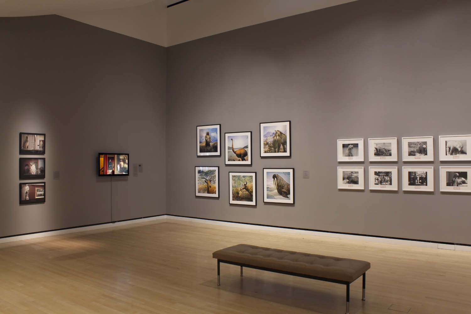 Installation view of 'Wundercamera Savannah' at the Jepson Center, Telfair Museums, Savannah in 2017